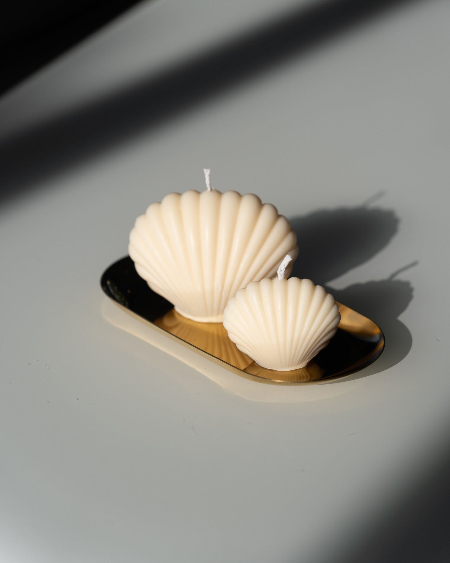 Stainless Steel Tray