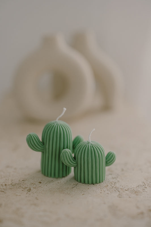 Cactus Set