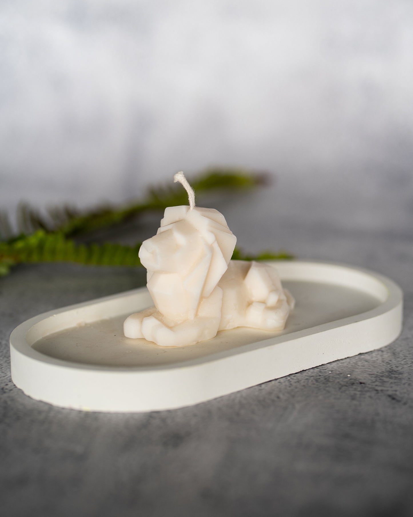 Little Lion Candle