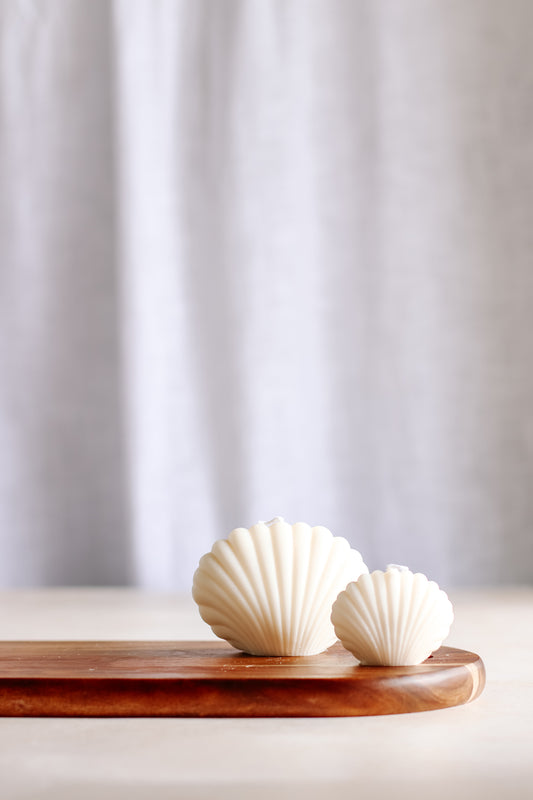 Sea Shell Candle Set